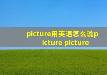 picture用英语怎么说picture picture